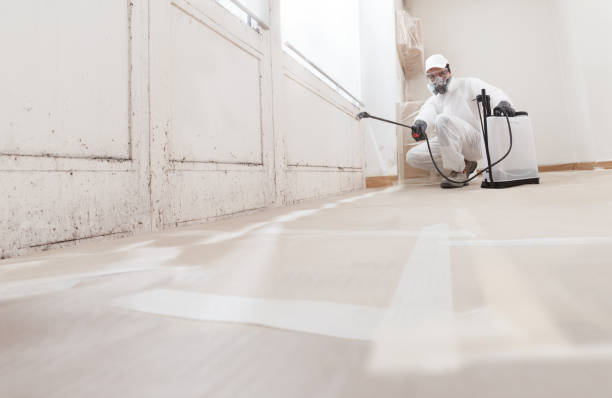 24/7 Emergency Mold Removal experts in Silverdale, PA