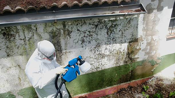 Top rated local Mold Removal specialists in Silverdale, PA